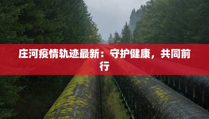 最新疫情漳州:守护健康,拥抱活力 最新疫情漳州:守护健康,拥抱活力