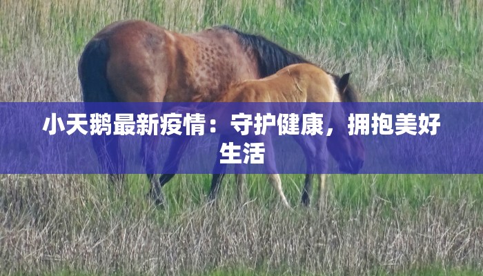 通辽库伦最新疫情:科学防控,共筑健康屏障 通辽库伦最新疫情:科学防控,共筑健康屏障