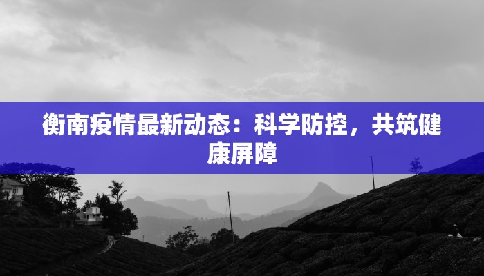 衡南疫情最新动态：科学防控，共筑健康屏障