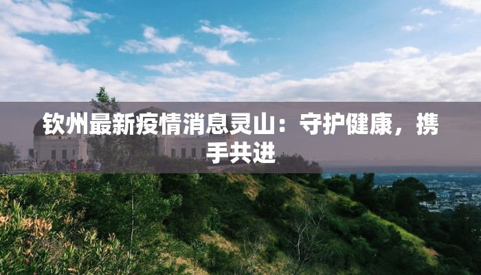 钦州最新疫情消息灵山：守护健康，携手共进