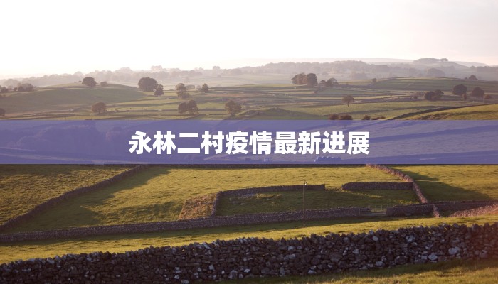 永林二村疫情最新进展