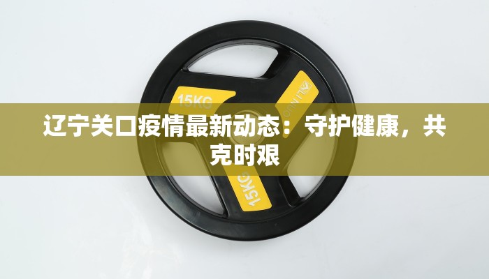 辽宁关口疫情最新动态：守护健康，共克时艰