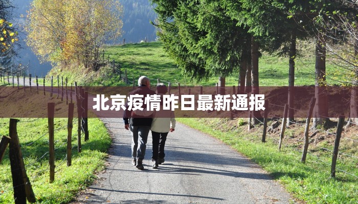 北京疫情昨日最新通报 北京疫情昨日最新通报