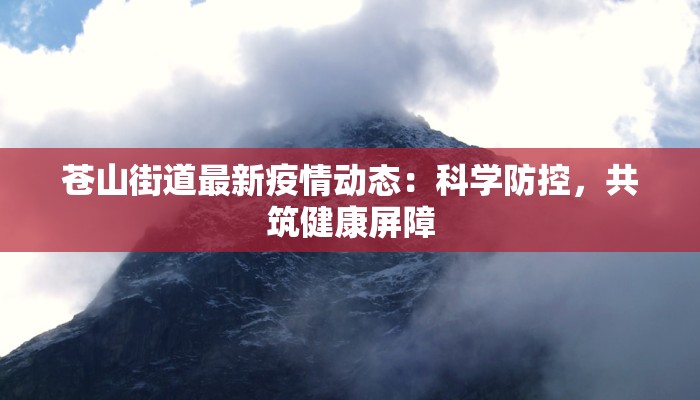 苍山街道最新疫情动态：科学防控，共筑健康屏障