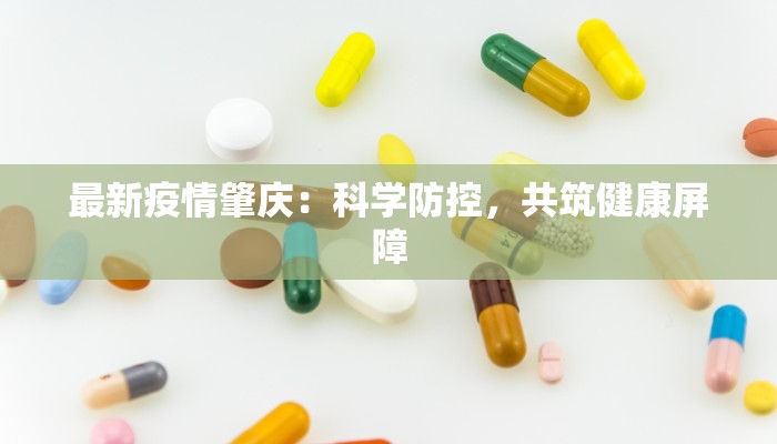 最新疫情肇庆：科学防控，共筑健康屏障