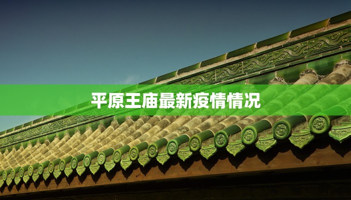 平原王庙最新疫情情况 平原王庙最新疫情情况