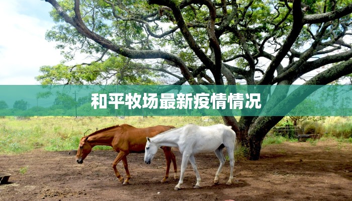 和平牧场最新疫情情况