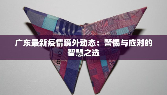 广东最新疫情境外动态:警惕与应对的智慧之选 广东最新疫情境外动态:警惕与应对的智慧之选