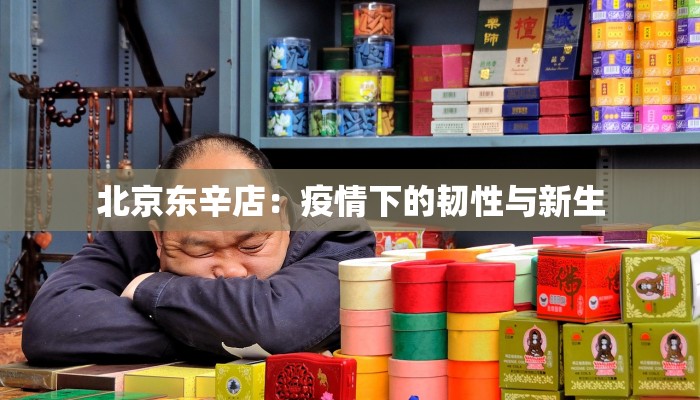 北京东辛店：疫情下的韧性与新生