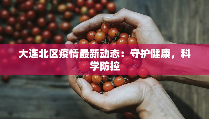 大连北区疫情最新动态：守护健康，科学防控