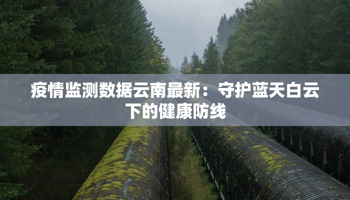 大连最新疫情举报：守护家园，从你我做起
