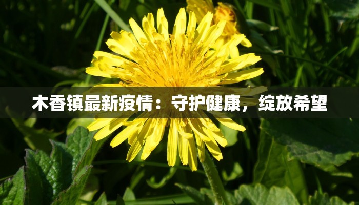 木香镇最新疫情：守护健康，绽放希望
