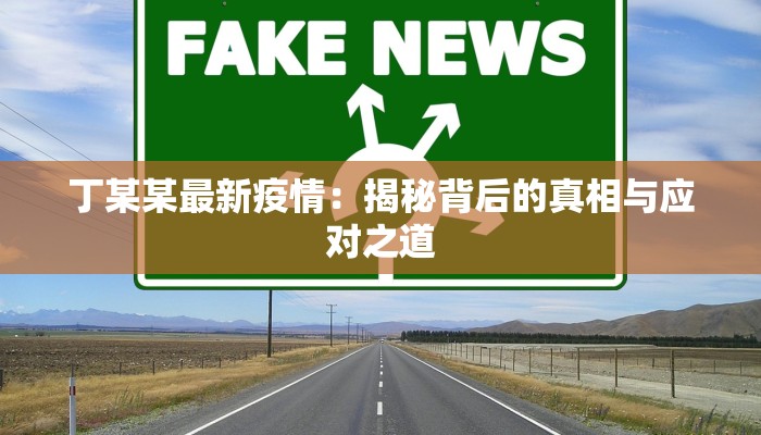 丁某某最新疫情：揭秘背后的真相与应对之道